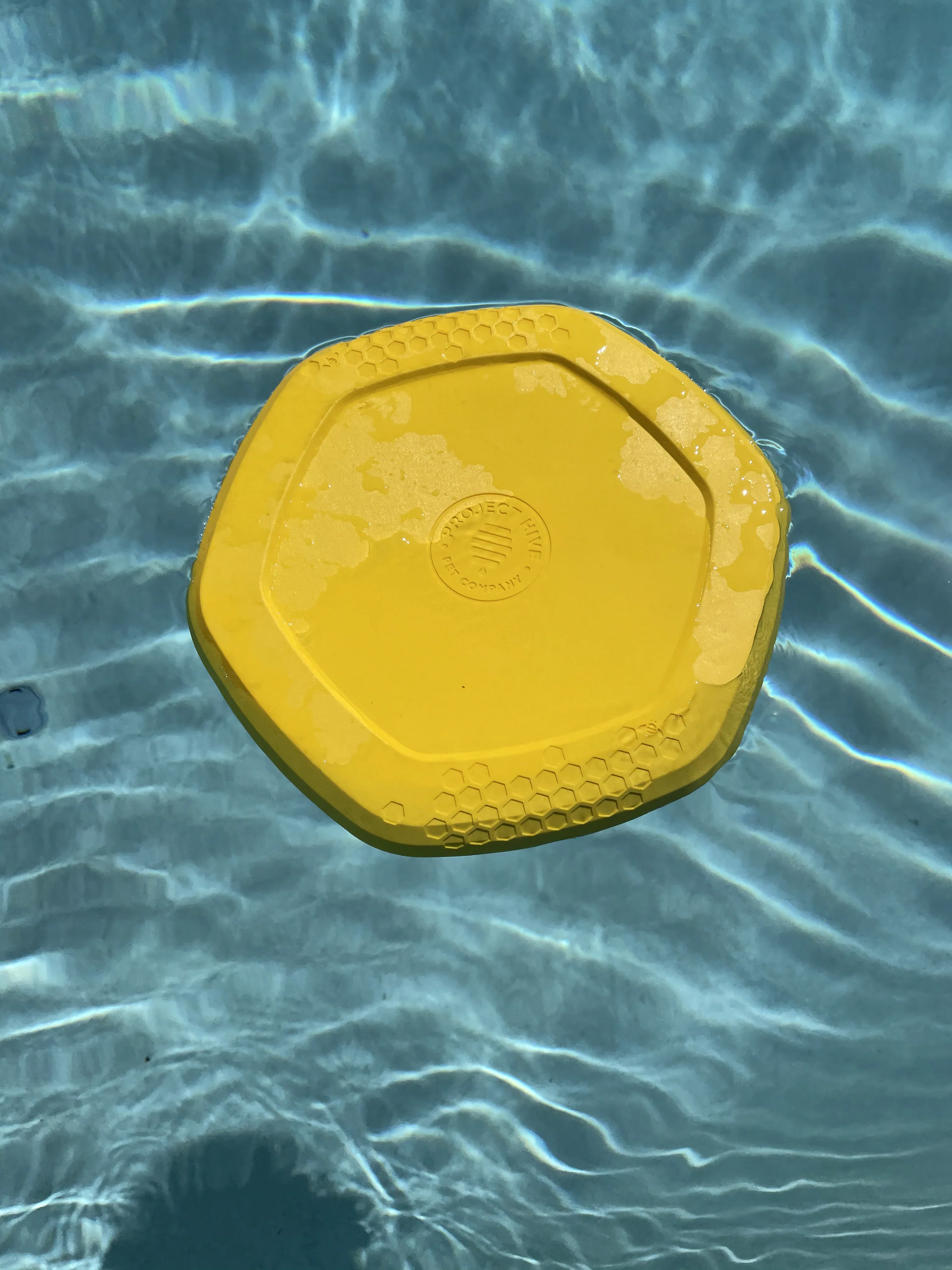 Hive 3-In-1 Dog Disc Toy (Made in the USA) - Image 8