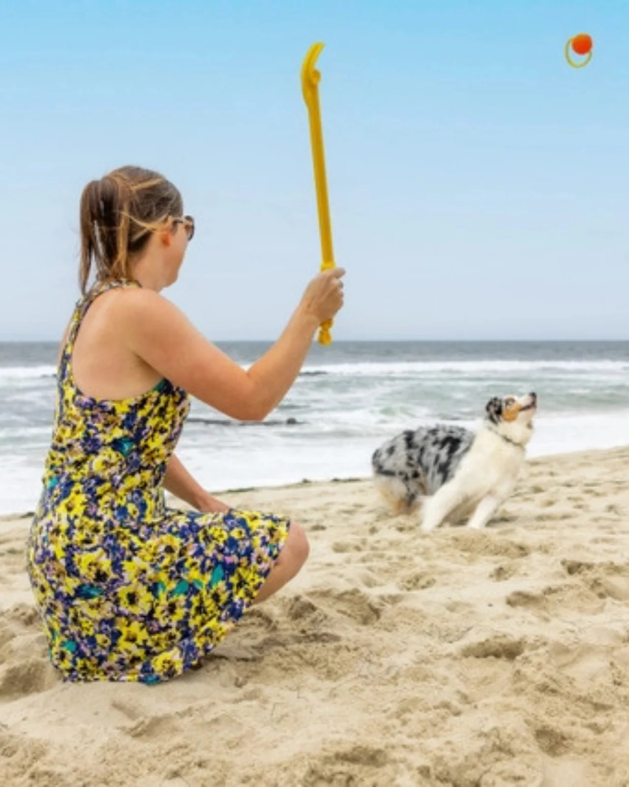 Hive Zoomer Launcher & Looped Ball Dog Toy (Made in the USA) - Image 6