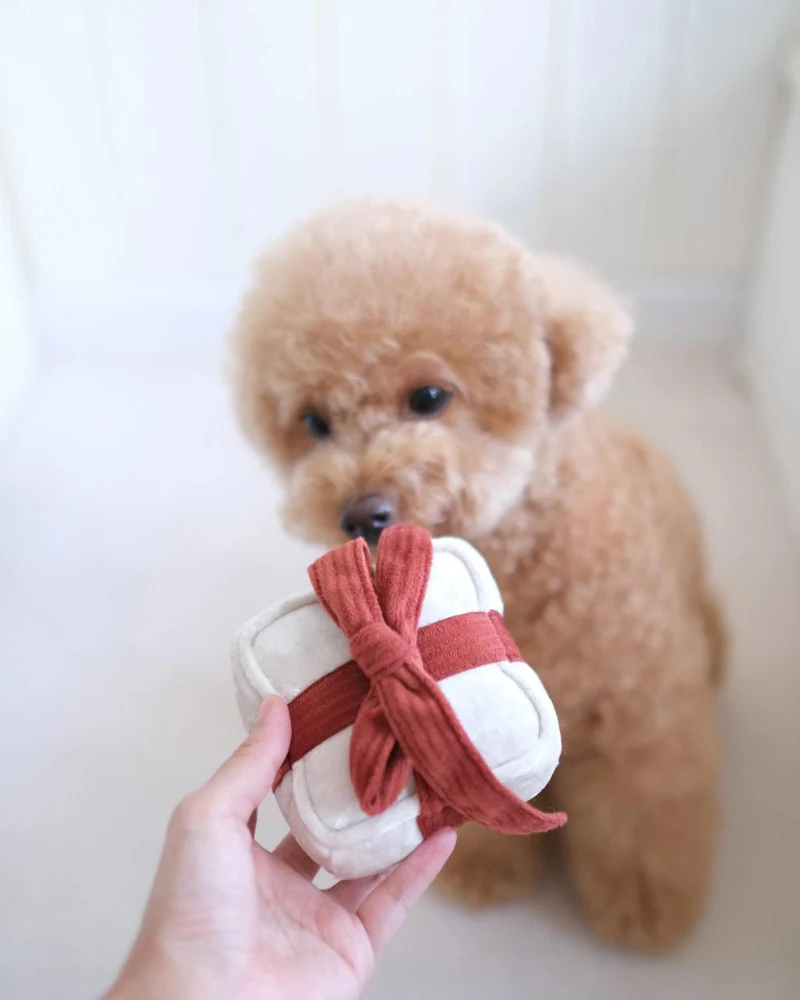 Holiday Box Christmas Squeaky Dog Toy - Image 5