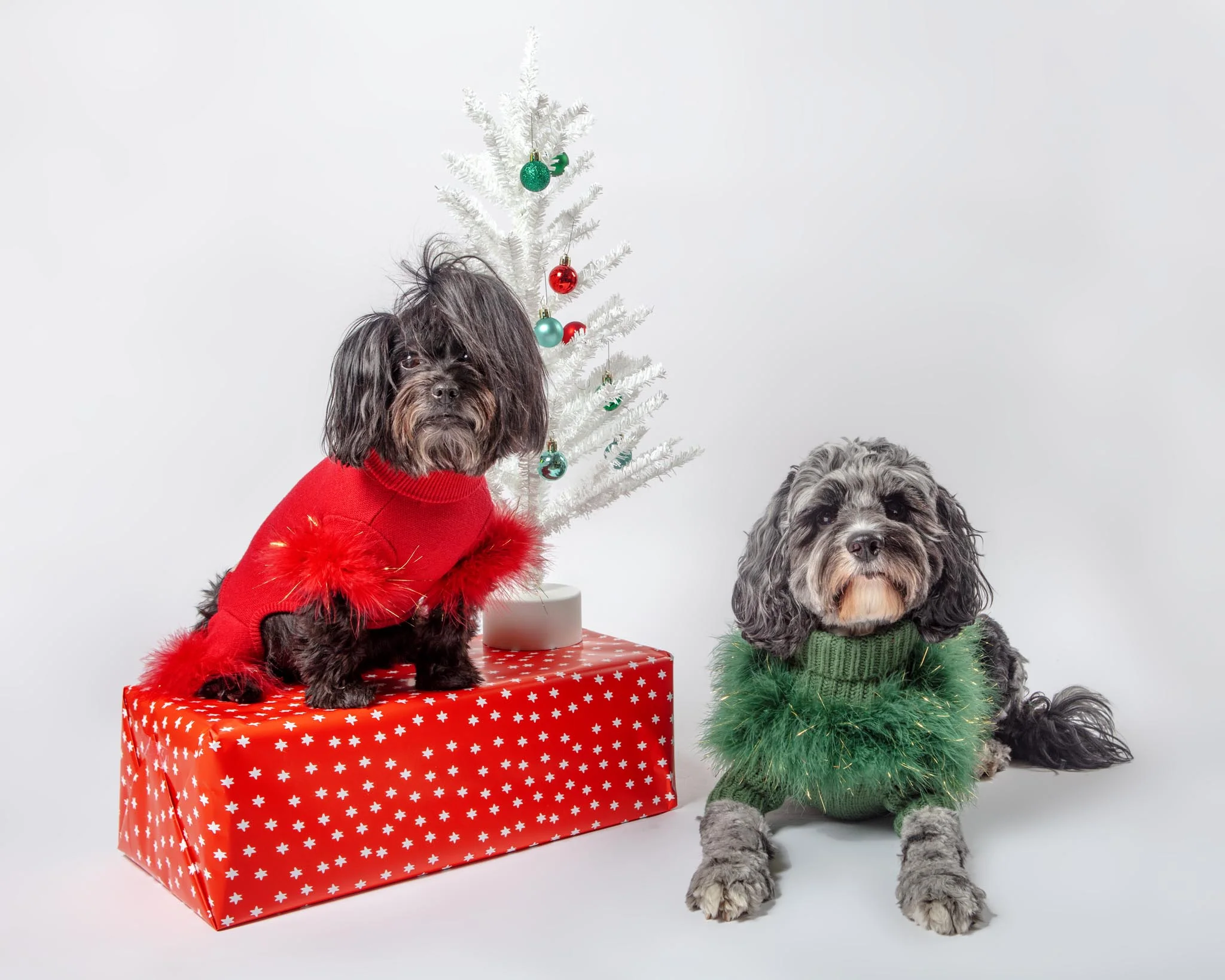 Holiday Glitz Feather Dog Onesie (FINAL SALE) - Image 2