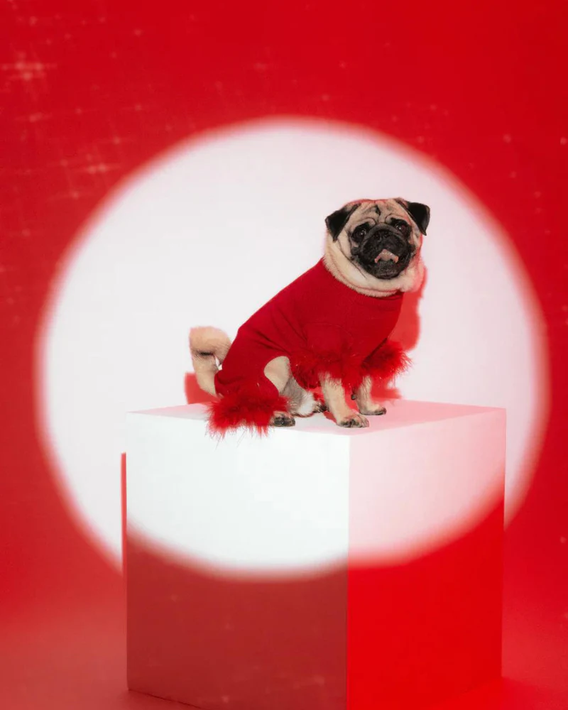 Holiday Glitz Feather Dog Onesie (FINAL SALE) - Image 4