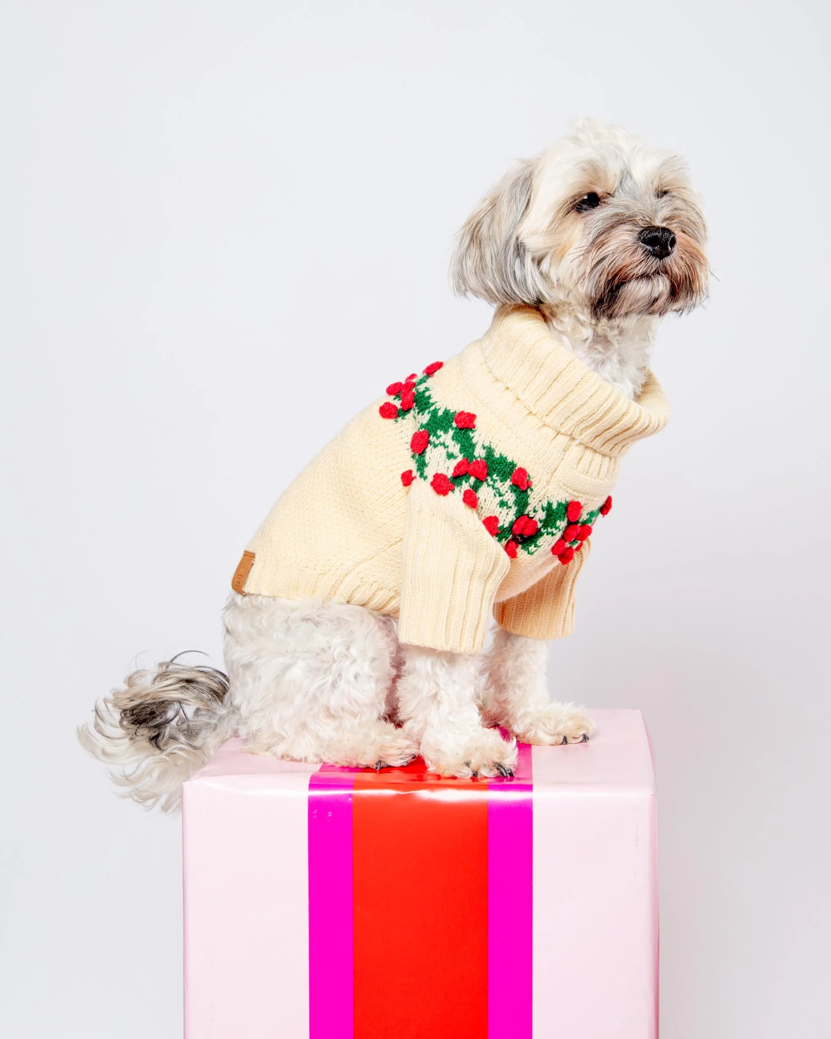 Holly Bobble Dog Sweater