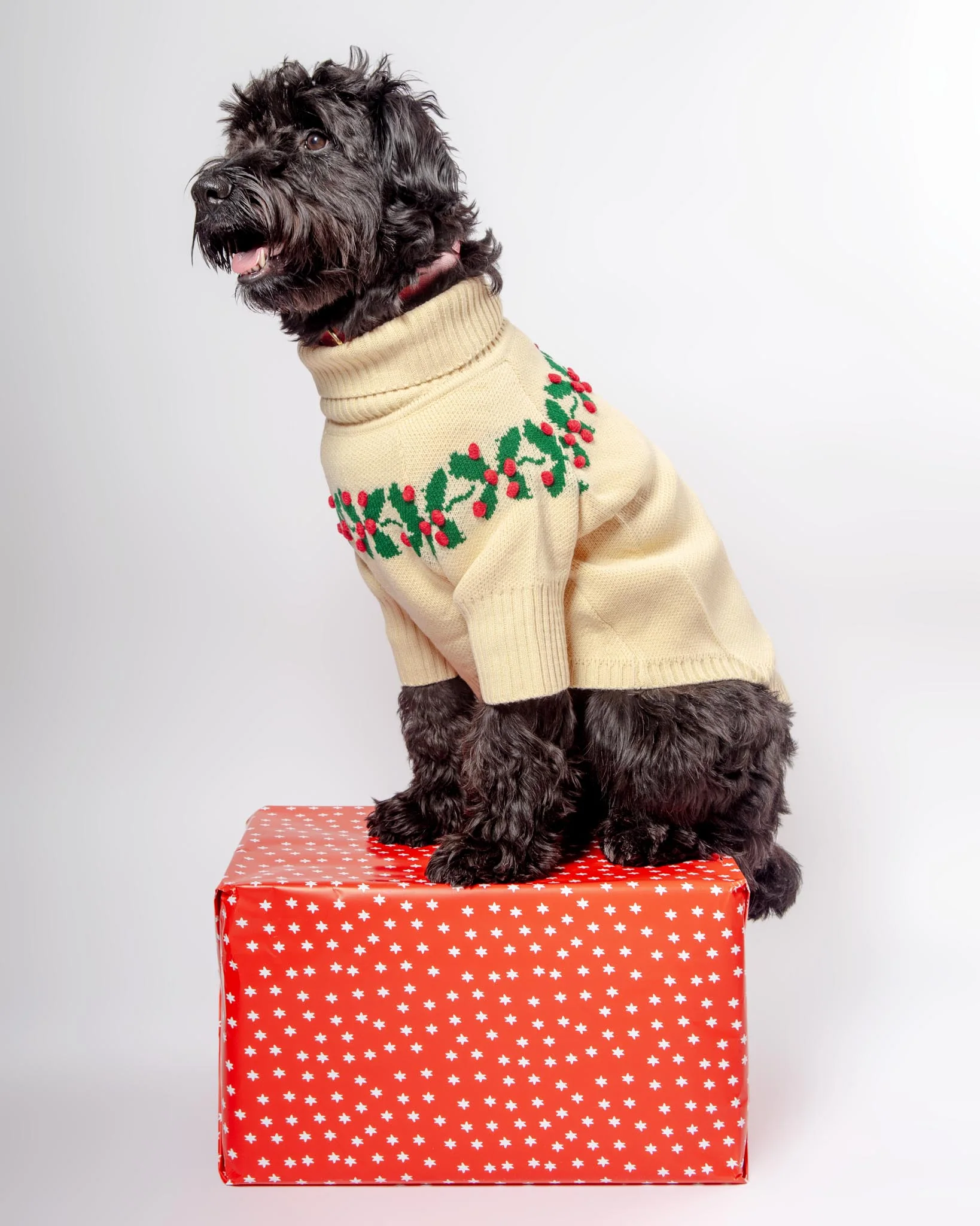 Holly Bobble Dog Sweater - Image 2