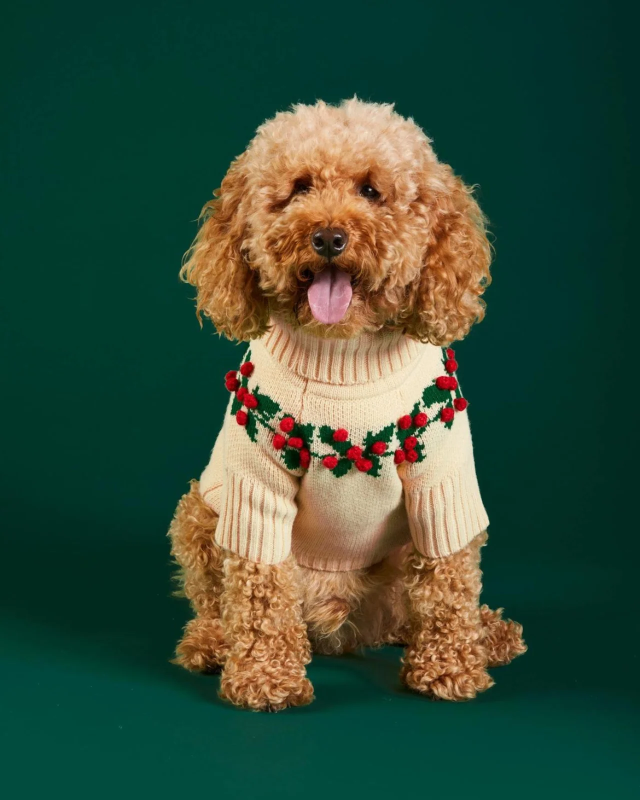 Holly Bobble Dog Sweater - Image 5