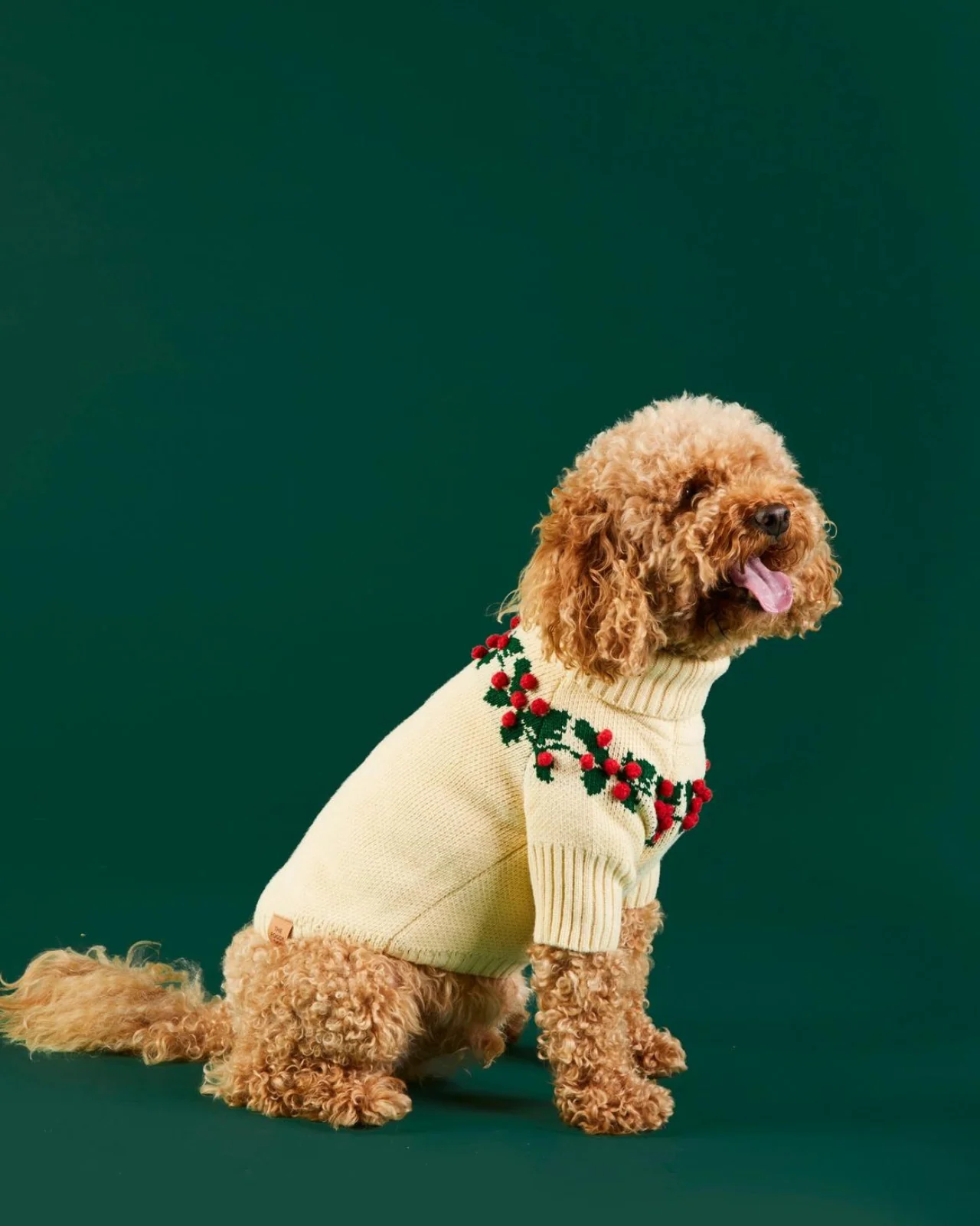Holly Bobble Dog Sweater - Image 6