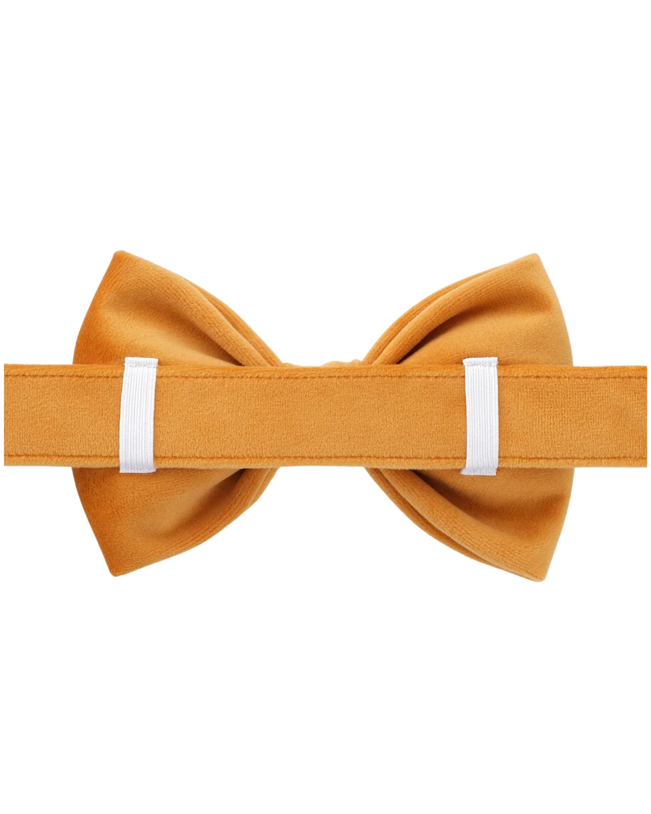 Honey Velvet Dog Bow Tie (Made in the USA) (FINAL SALE) - Image 3