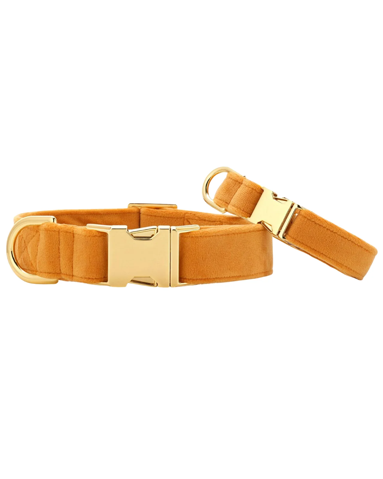 Honey Velvet Dog Collar (Made in the USA) (FINAL SALE) - Image 2