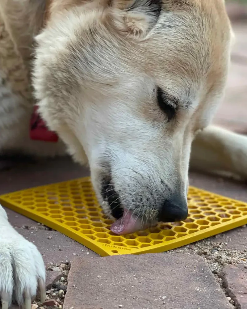 Honeycomb Dog Lick Mat (Made in the USA) - Image 5