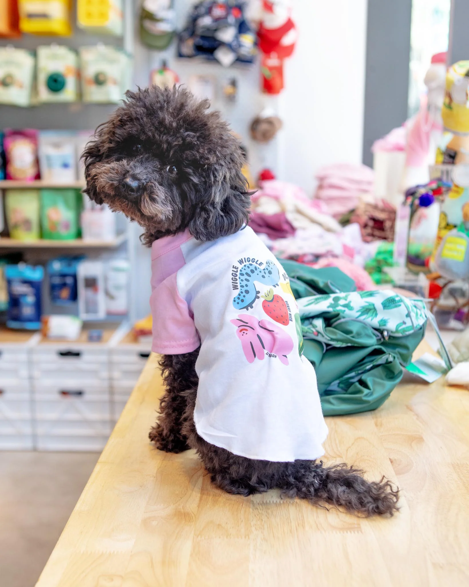 *Hop To It* Graphic Dog T-Shirt - Image 2