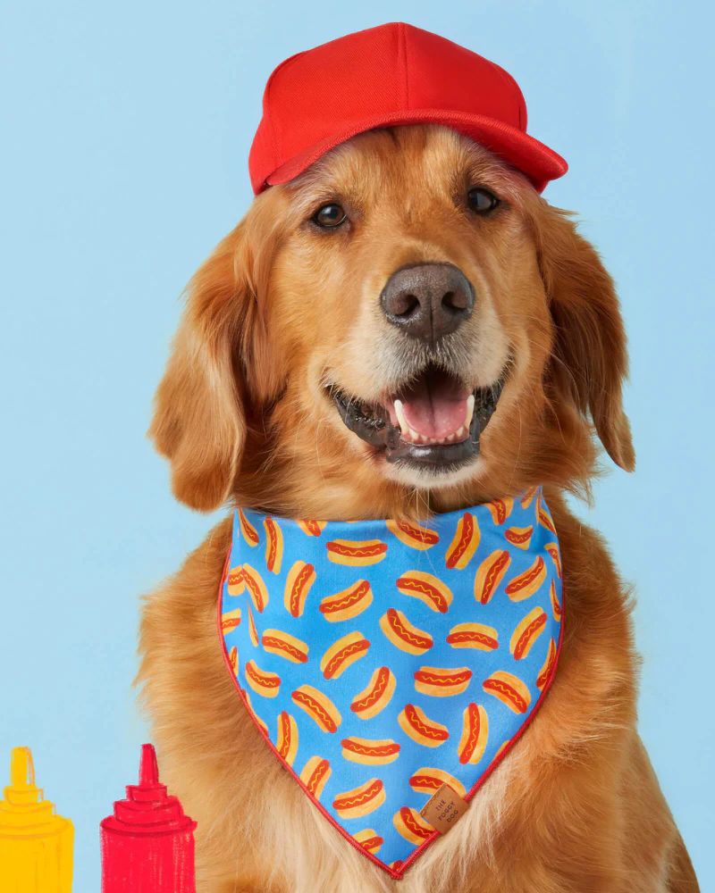 Hot Diggity Dog Tie-On Bandana