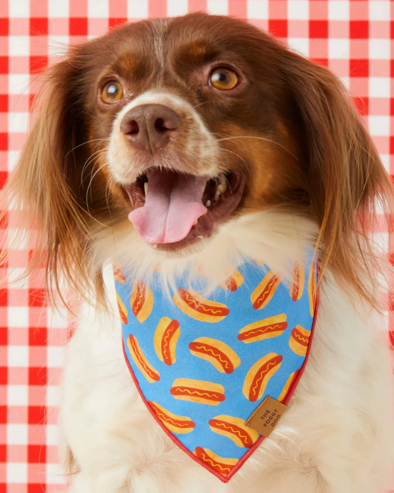 Hot Diggity Dog Tie-On Bandana - Image 3