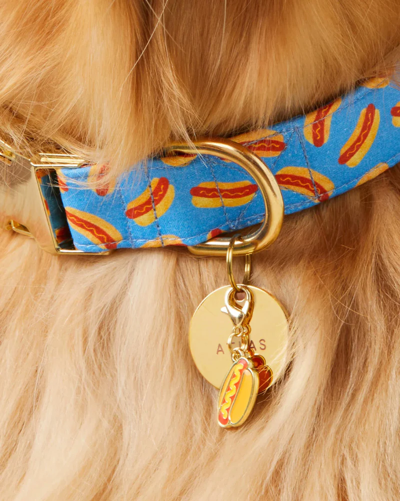 Hot Diggity Dog Collar - Image 3