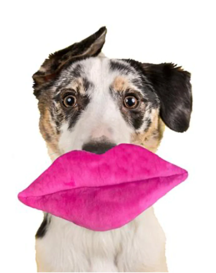 Hot Lips Plush Dog Toy (Small) (FINAL SALE) - Image 2