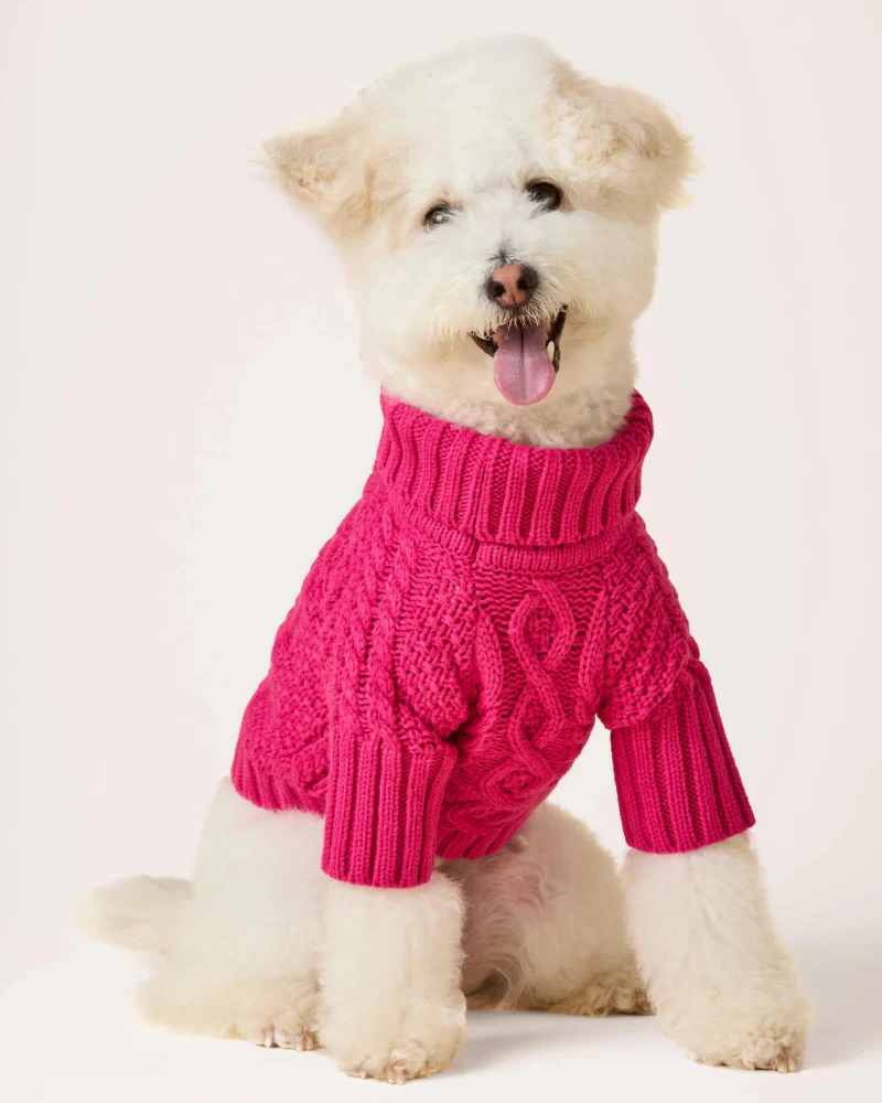 Hot Pink Cable Knit Dog Sweater - Image 4