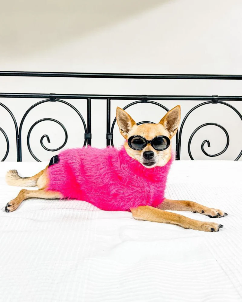 Hot Pink Fluffy Dog Sweater (FINAL SALE) - Image 4