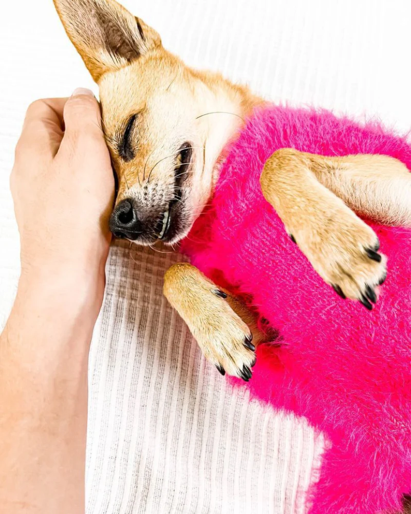 Hot Pink Fluffy Dog Sweater (FINAL SALE) - Image 5