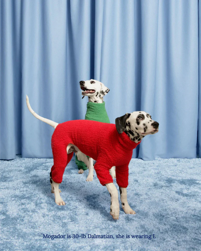 Hot Sauce Fleece Dog Onesie - Image 3