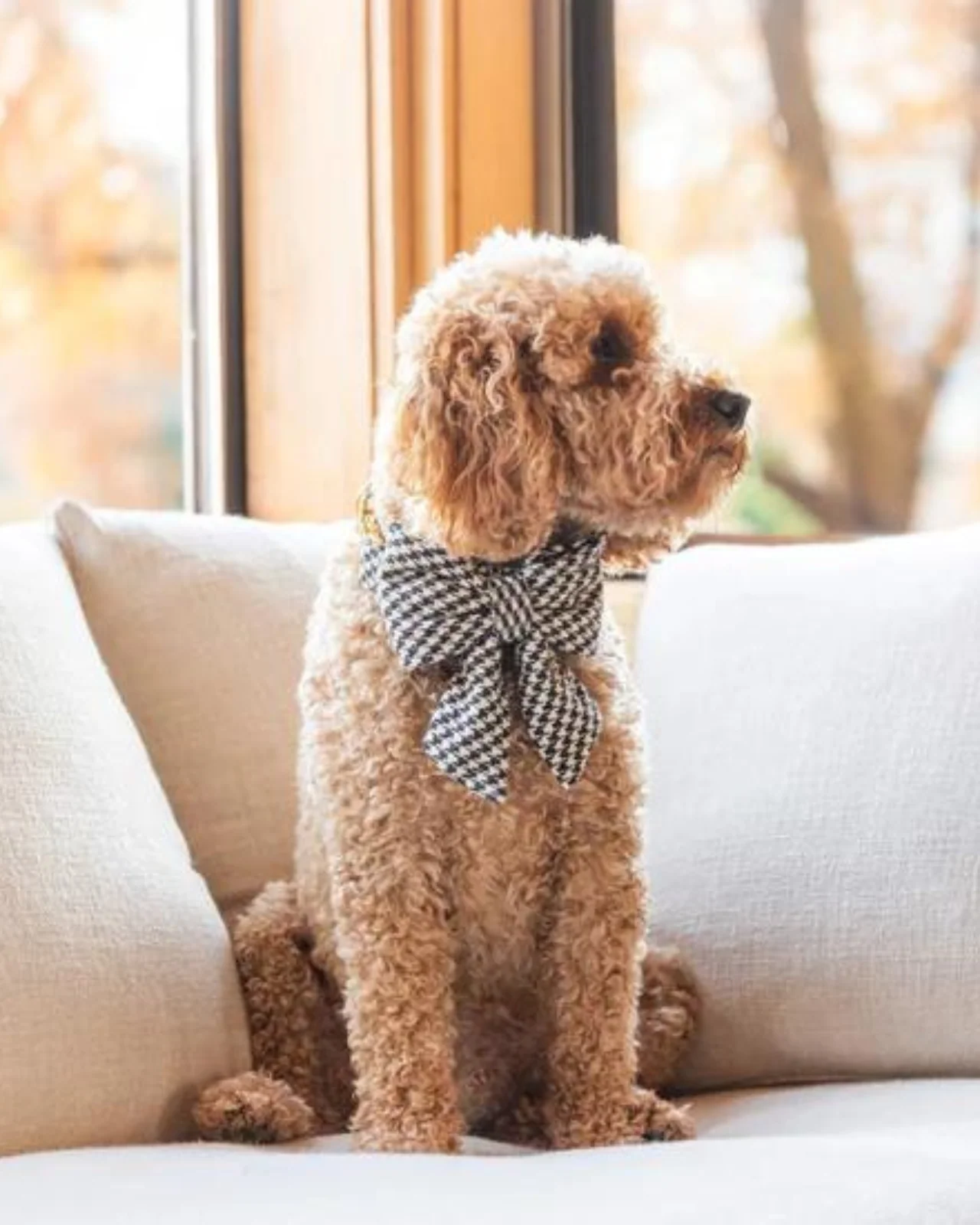 Houndstooth Flannel Lady Dog Bow - Image 2
