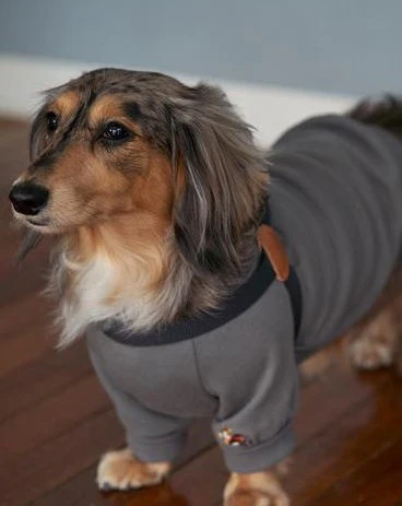 Adventure Sweatshirt in Charcoal (FINAL SALE) - Image 2
