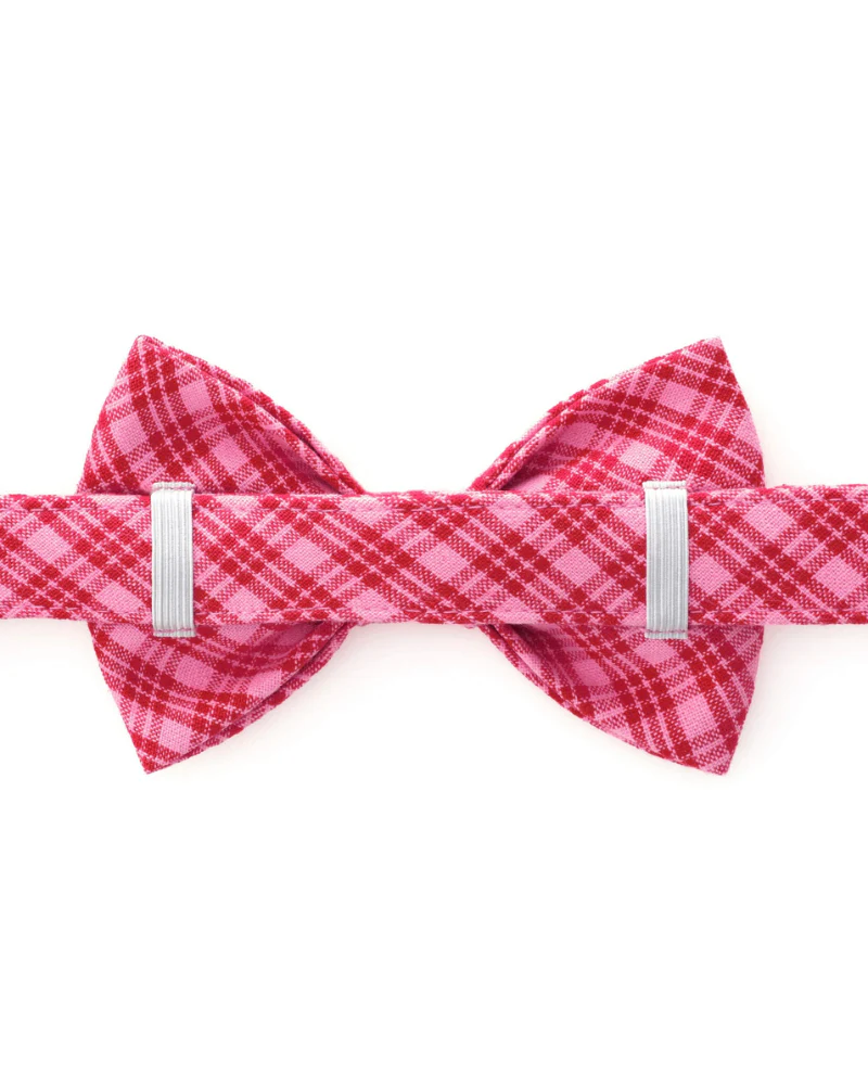 HTH x TFD Katherine Dog Bow Tie (Made in the USA) (FINAL SALE) - Image 3