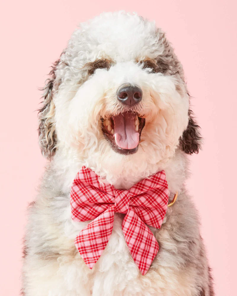 HTH X TFD Katherine Plaid Lady Dog (FINAL SALE)
