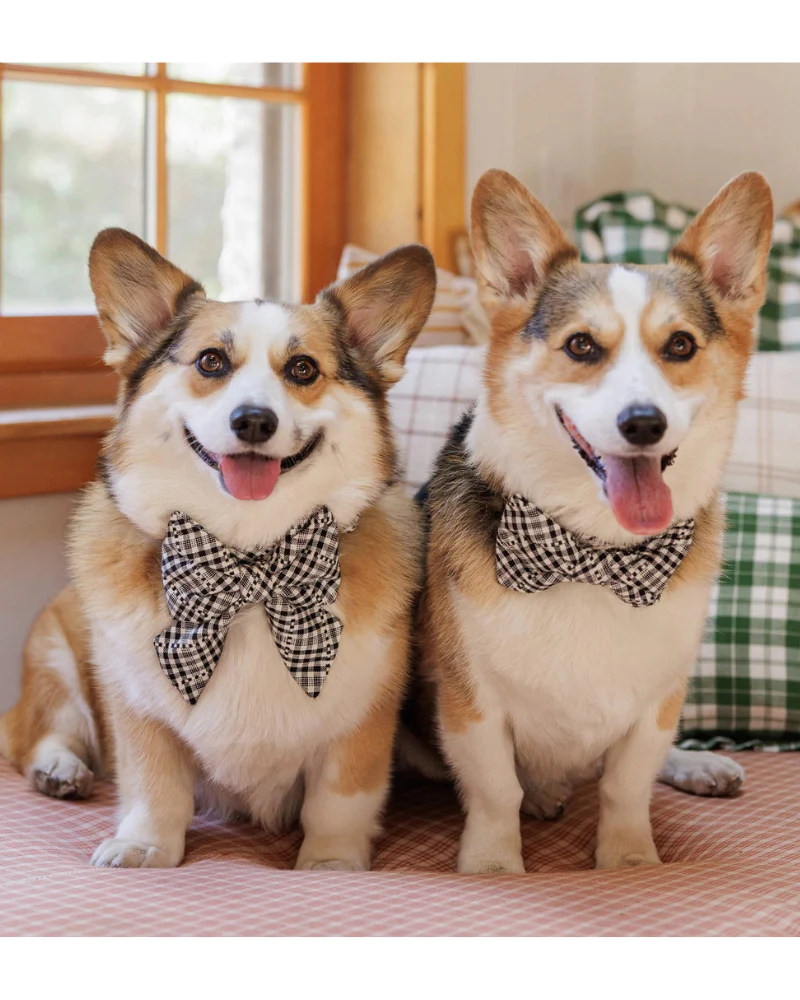 HTH x TFD Soho Dog Bow Tie (Made in the USA) (FINAL SALE) - Image 4