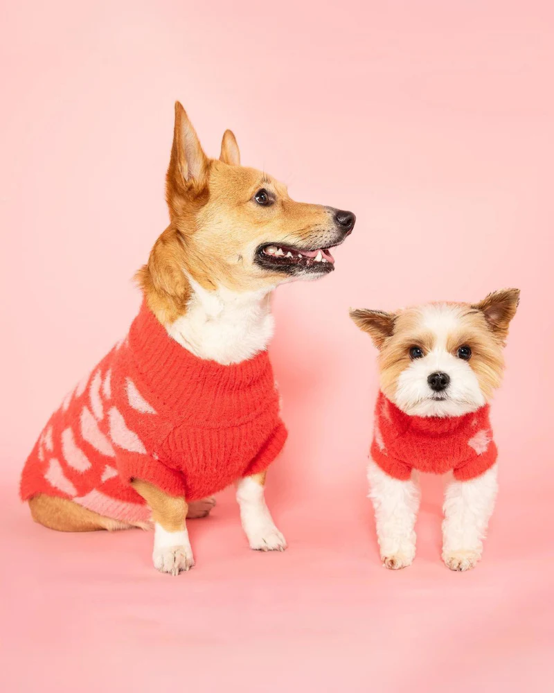 Hug Me Heart Dog Sweater (FINAL SALE) - Image 2