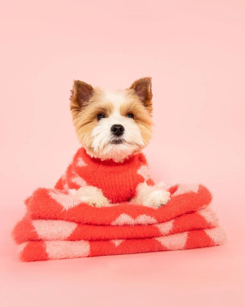 Hug Me Heart Dog Sweater (FINAL SALE) - Image 3