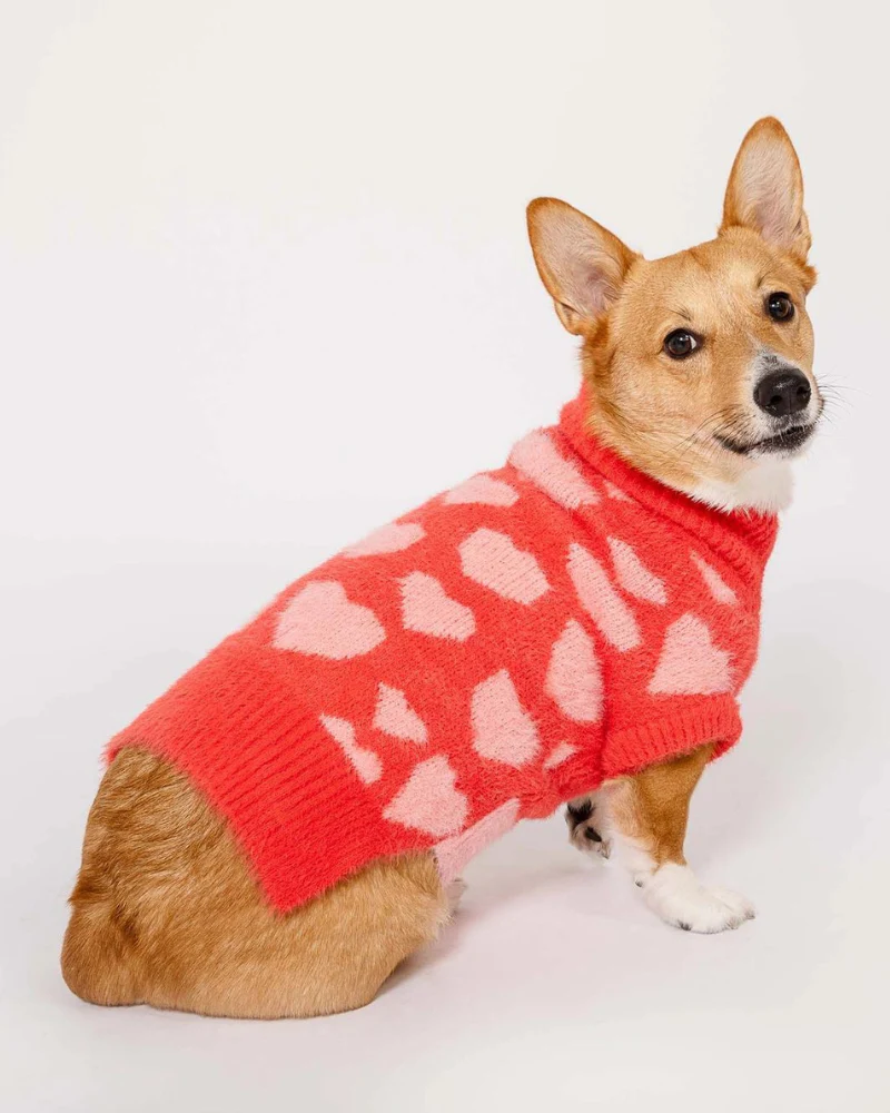 Hug Me Heart Dog Sweater (FINAL SALE) - Image 4