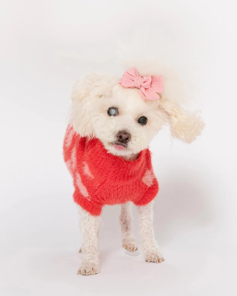 Hug Me Heart Dog Sweater (FINAL SALE) - Image 6