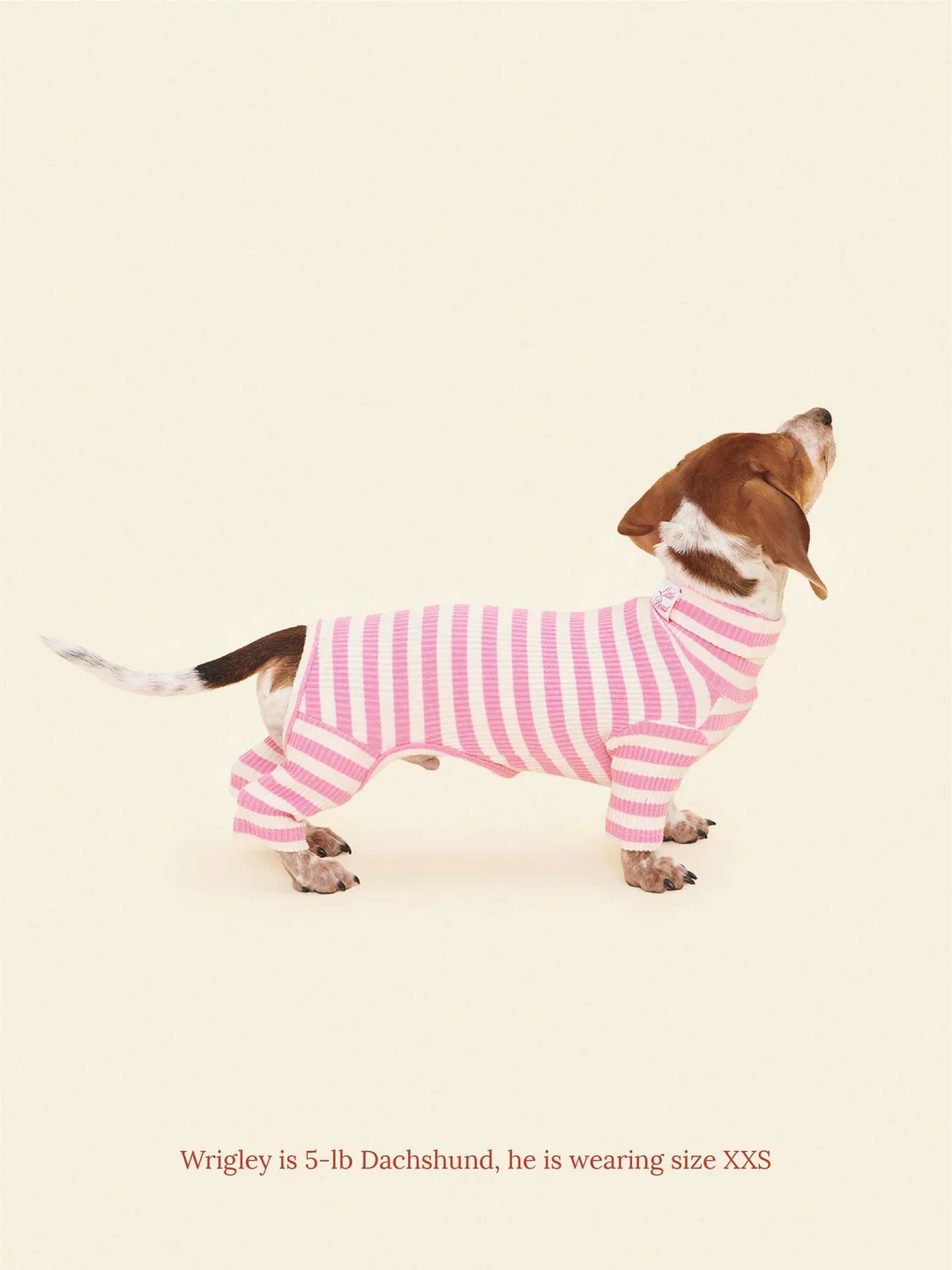 Hug Me Ribbed Dog Onesie - Image 3