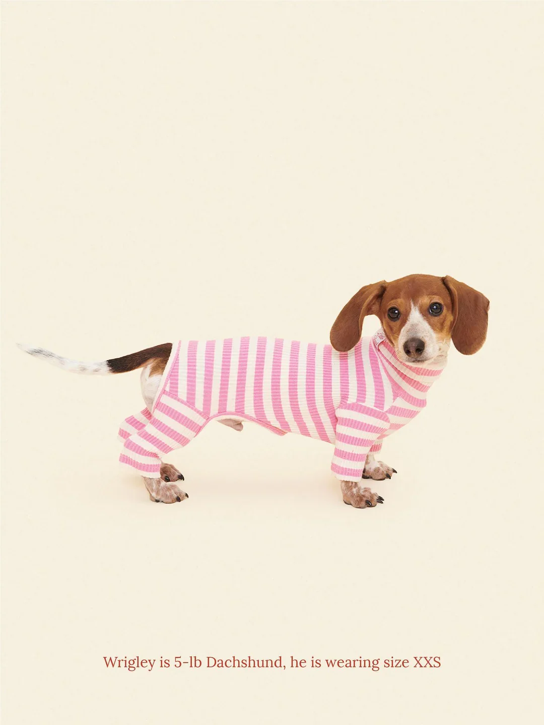 Hug Me Ribbed Dog Onesie - Image 4