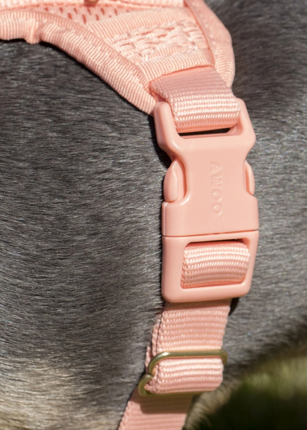 Huggie Dog Harness in Peach - Image 5