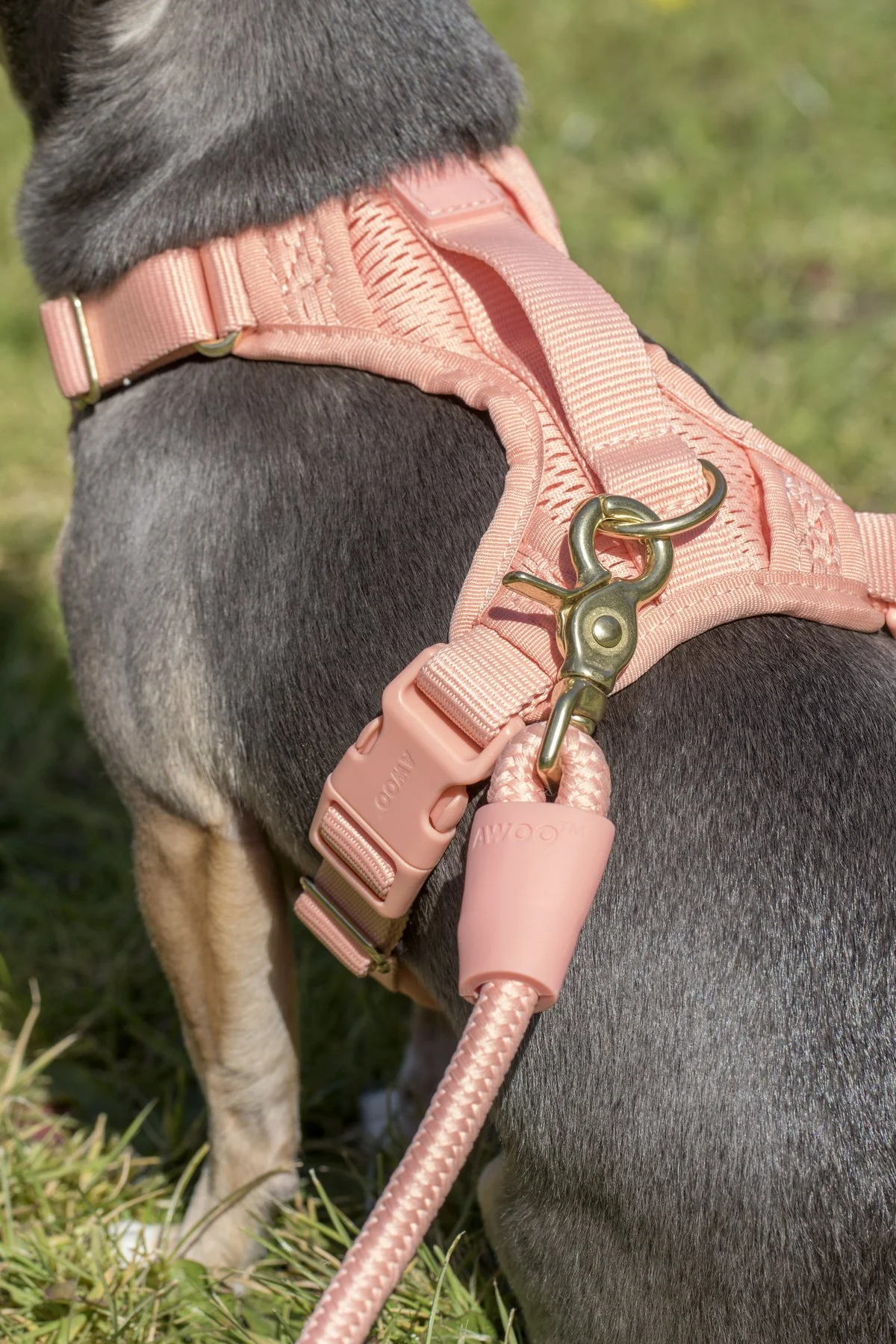 Huggie Dog Harness in Peach - Image 7