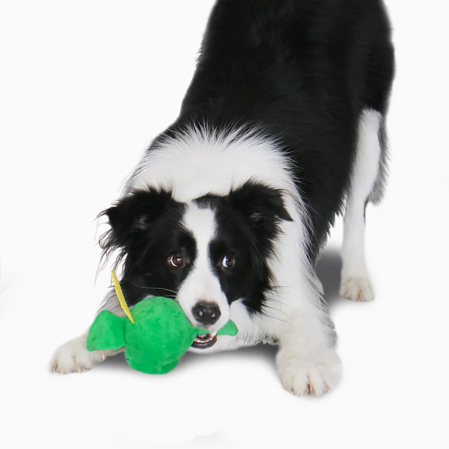 2-in-1 Dragon Ball Plush Dog Toy (FINAL SALE) - Image 5