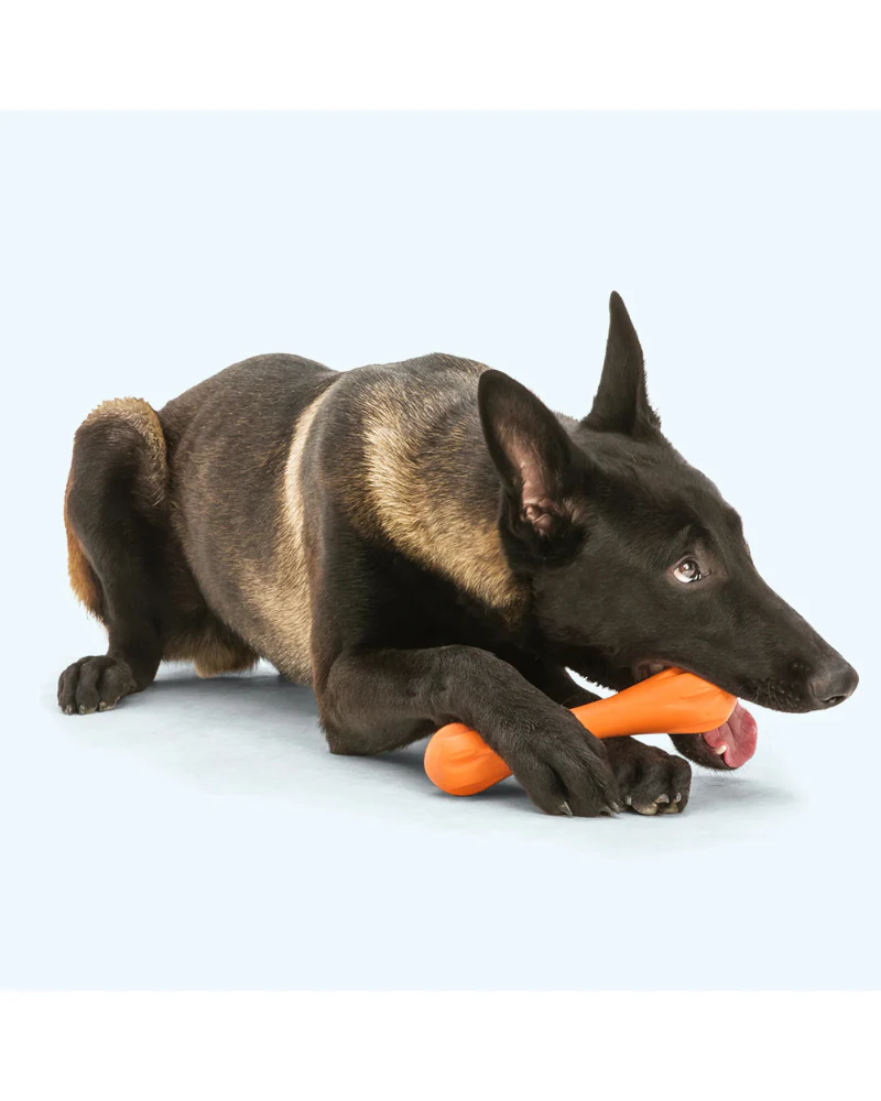 Hurley Durable Chew Toy for Dogs (Made in the USA) - Image 4