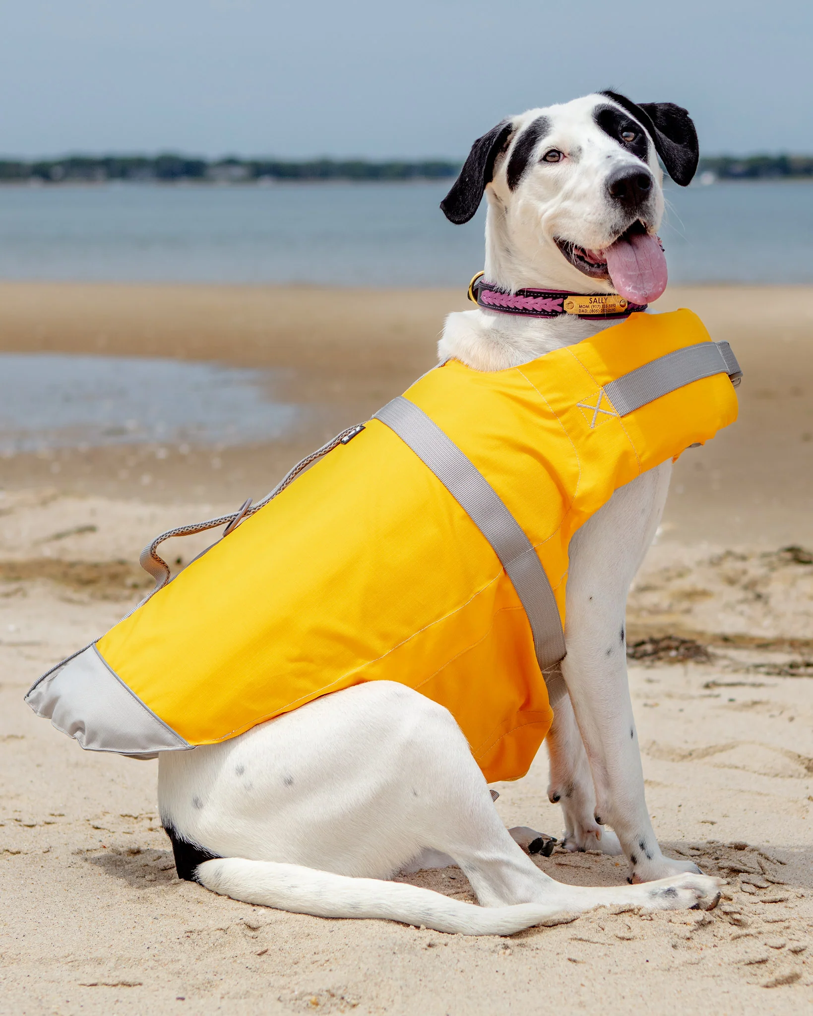 Life Savior Dog Life Jacket in Golden Yellow (FINAL SALE) - Image 3