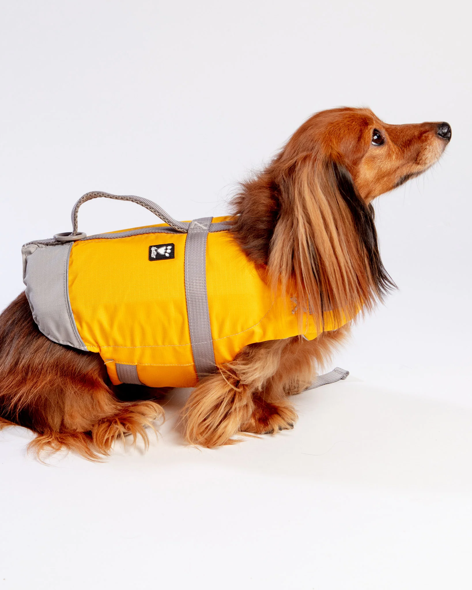 Life Savior Dog Life Jacket in Golden Yellow (FINAL SALE) - Image 5