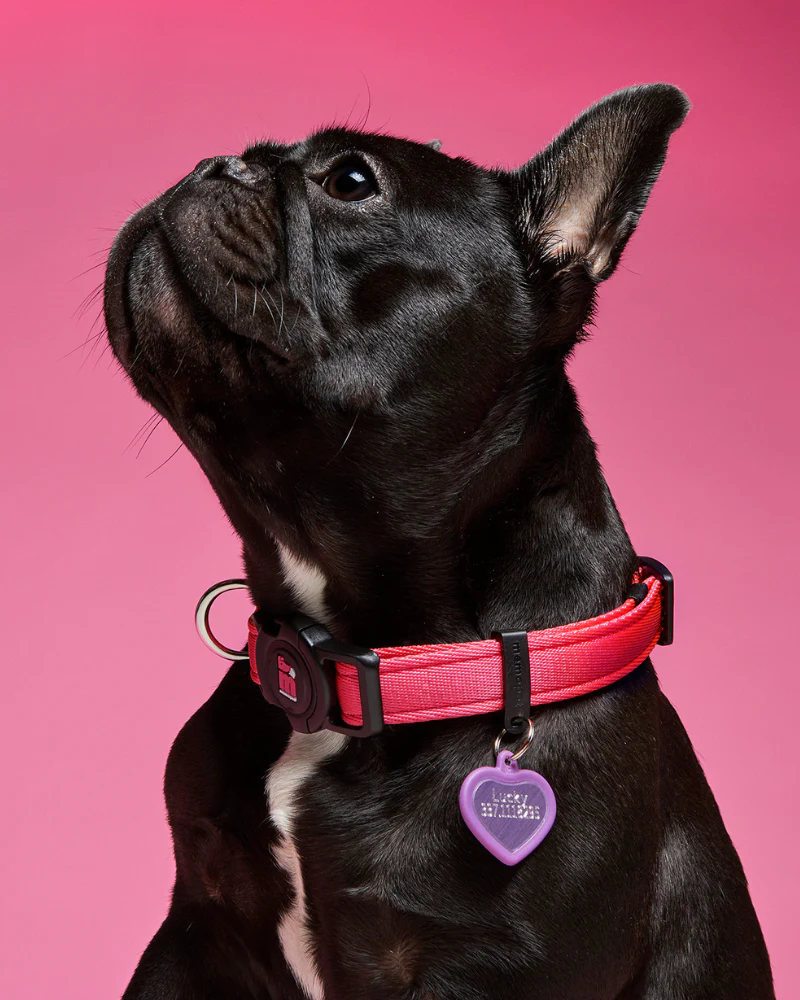 Hushtag Pink Aluminum Heart Custom Pet ID Tag - Image 3