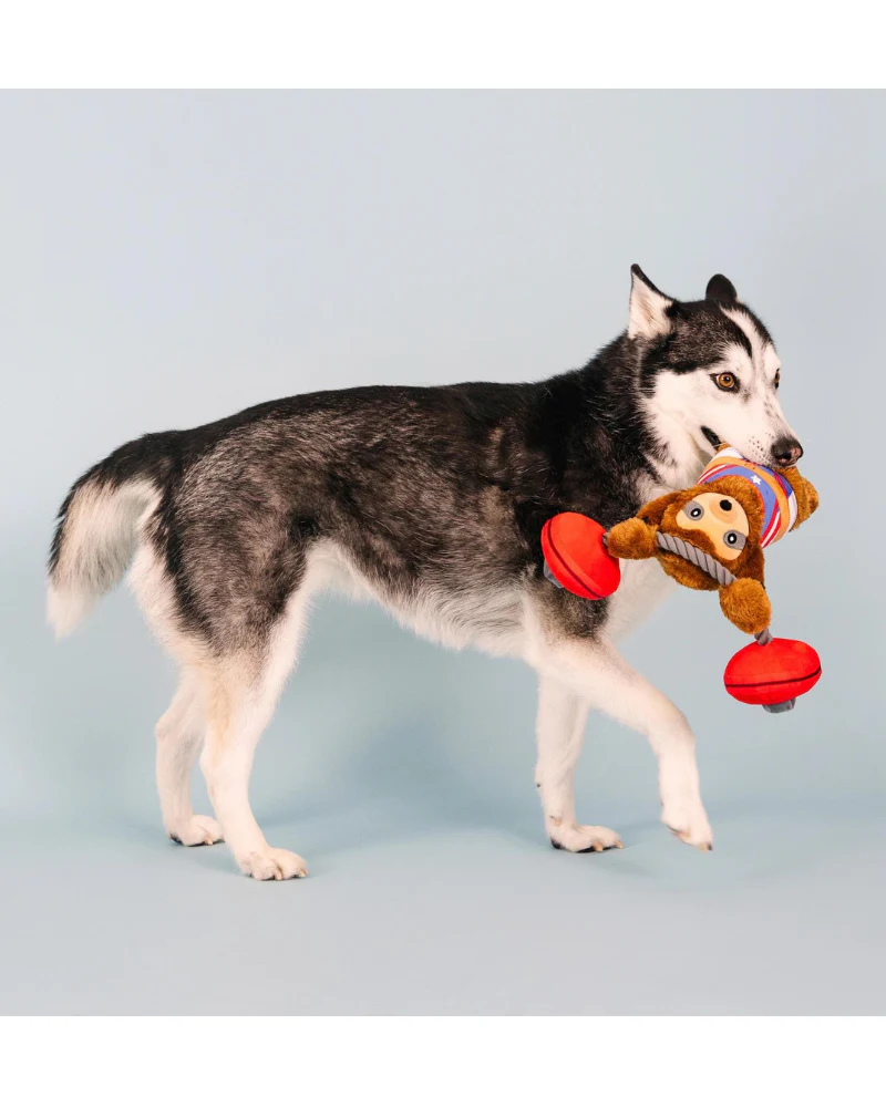 Hustle For That Muscle Speaky Plush Dog Toy (FINAL SALE) - Image 5
