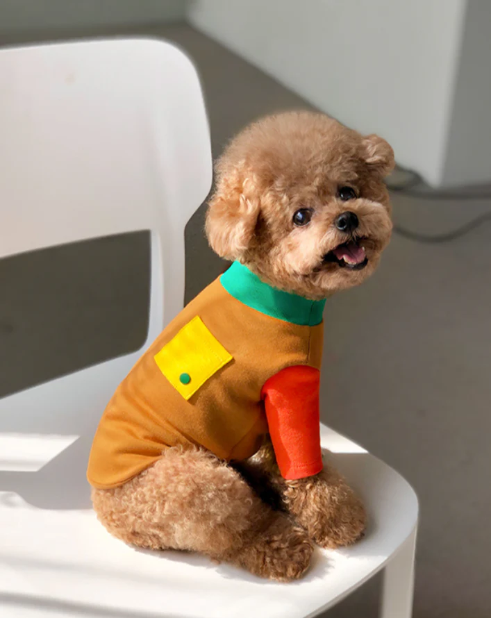 Caramel Point T for Dogs - Image 2