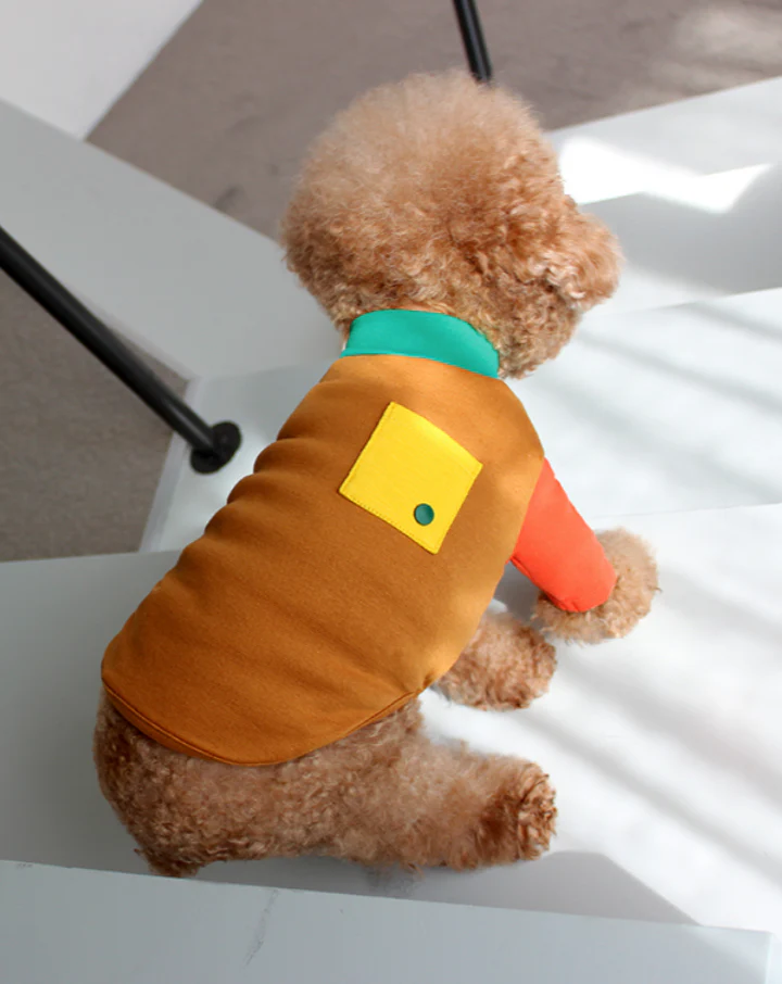 Caramel Point T for Dogs - Image 3