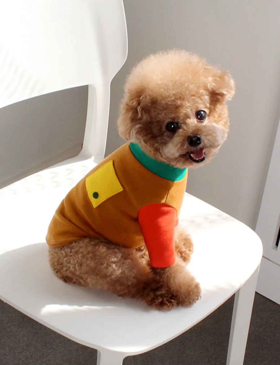 Caramel Point T for Dogs - Image 7