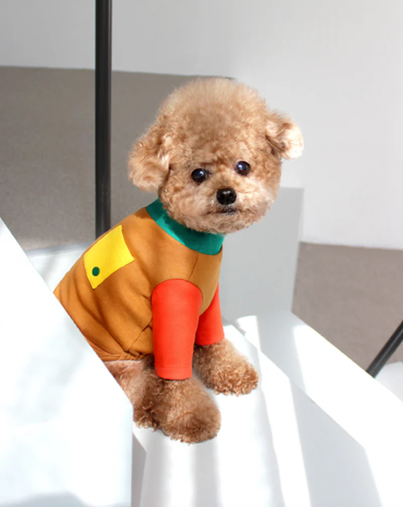 Caramel Point T for Dogs - Image 8