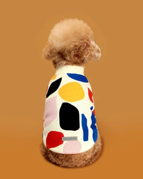 C1 Colorful Design Dog Sweatshirt in Ivory