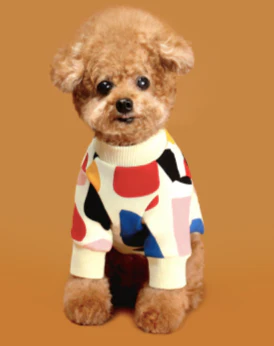 C1 Colorful Design Dog Sweatshirt in Ivory - Image 2