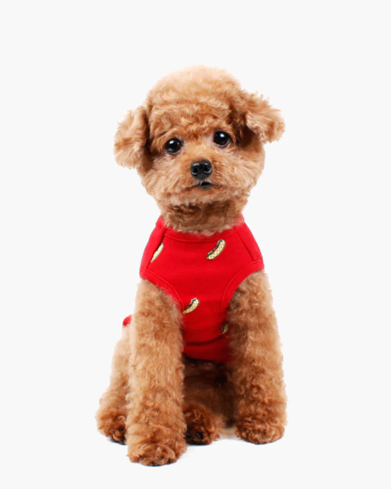 Hot Dog Tank Top for Dogs (FINAL SALE) - Image 2