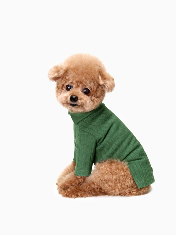 HUTS & BAY | Knit Collar Shirt in Green - Image 3