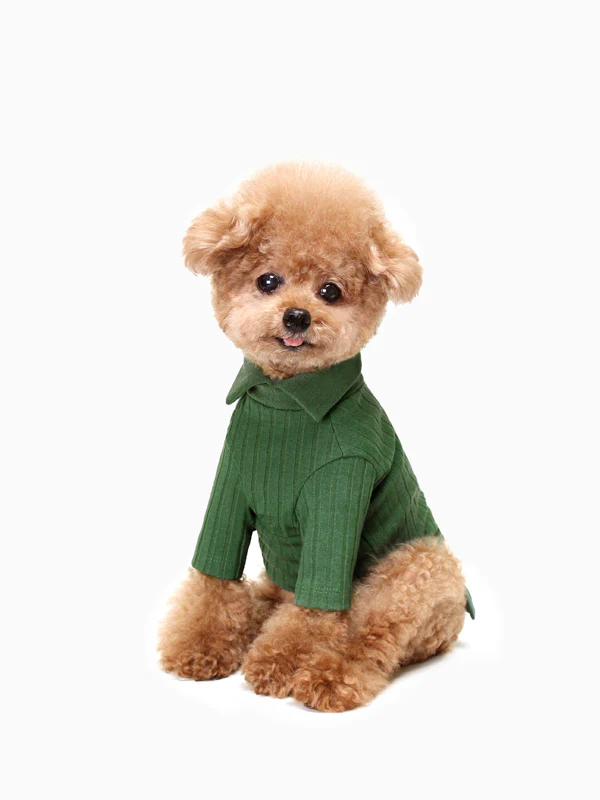 HUTS & BAY | Knit Collar Shirt in Green - Image 4