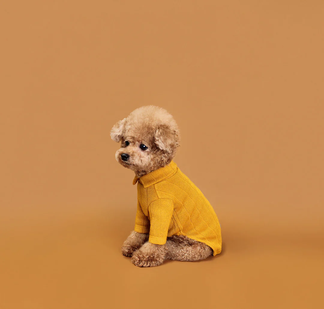 HUTS & BAY | Knit Collar Shirt in Mustard - Image 2